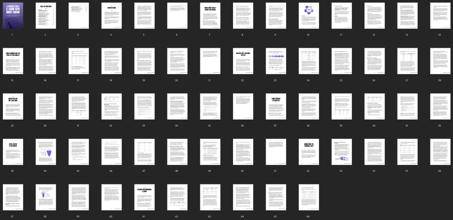 Entrepedia 1750777609290-5-Numbers-Every-E-Commerce-CFO-Must-Know---Ebook