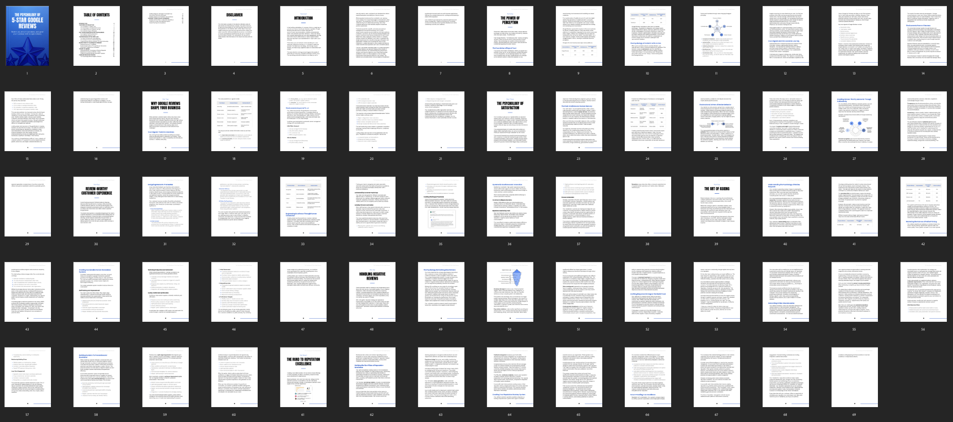 Entrepedia 1747220663915-The-Psychology-of-5-Star-Google-Reviews---Ebook