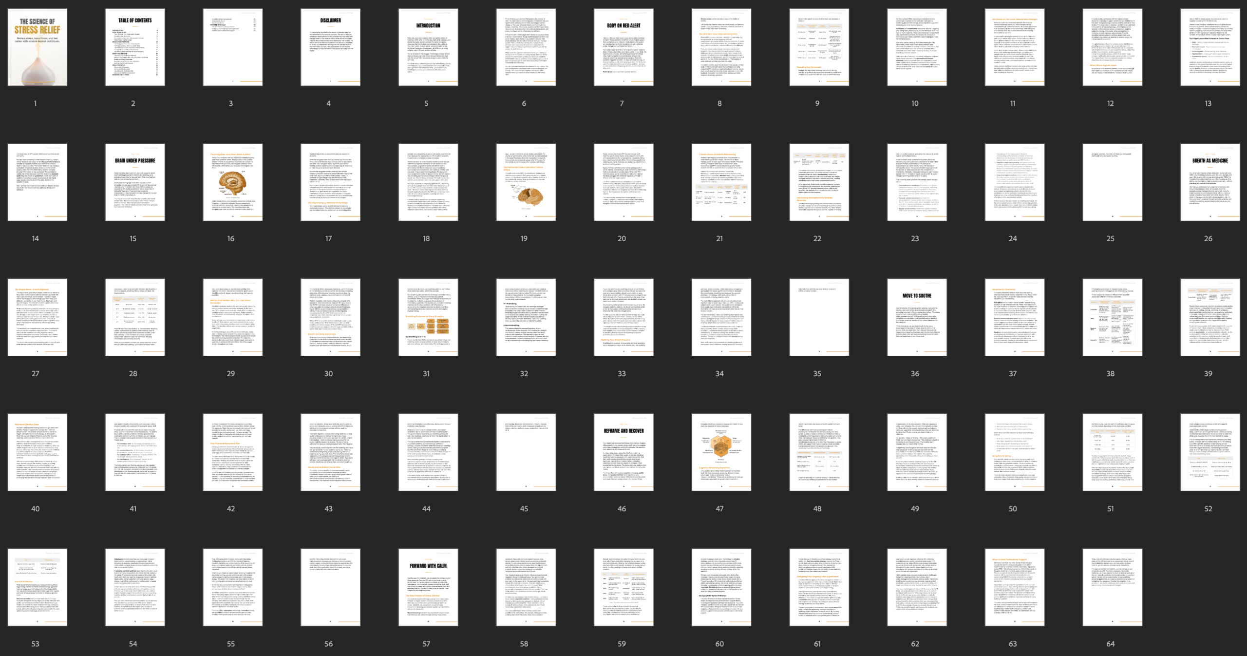 Entrepedia 1753170739670-The-Science-of-Stress-Relief---Ebook