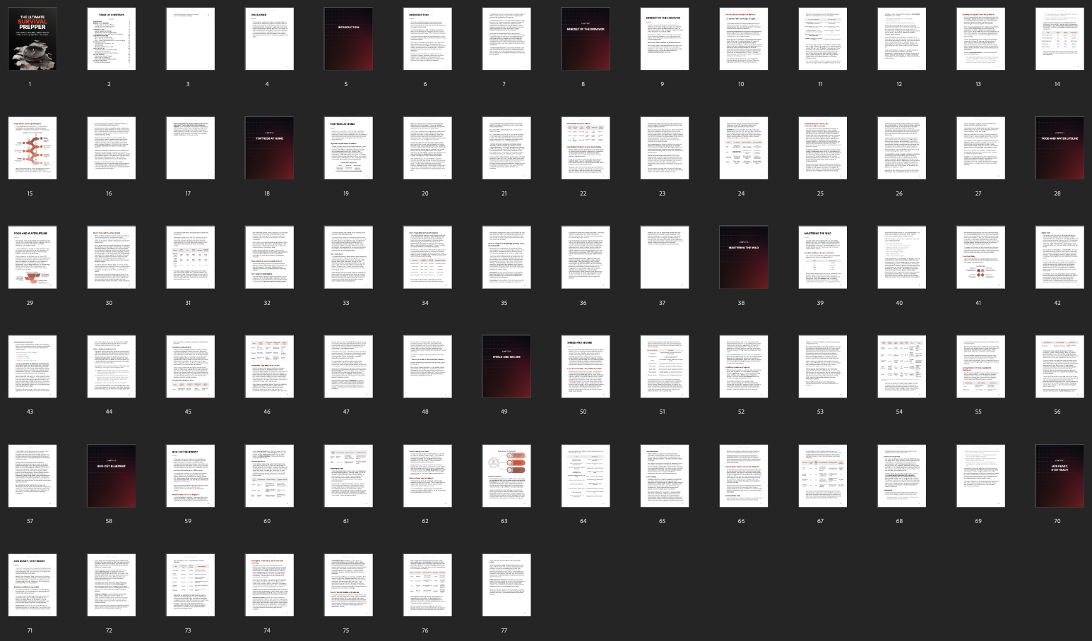 Entrepedia 1752864155546-The-Ultimate-Survival-Prepper---Ebook